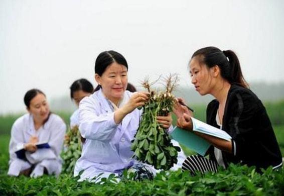 植物保护专业就业前景，植物保护专业就业前景与就业方向（看似冷门的农学专业）