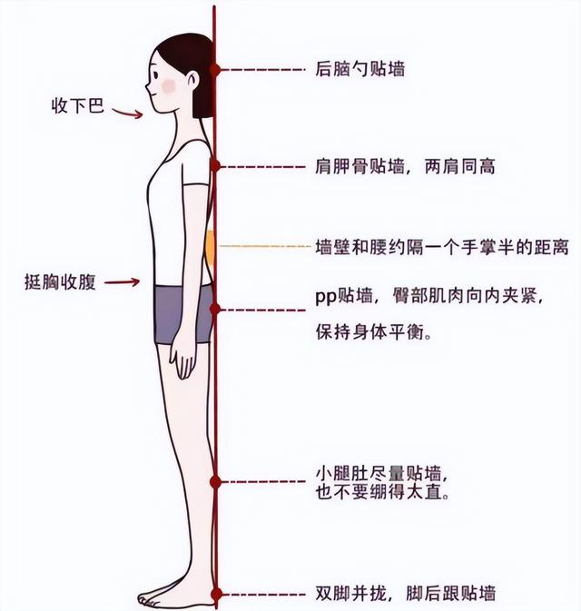 靠墙站立的正确姿势是怎样的，靠墙站立的正确姿势是怎样的图片（意想不到的好处多多）