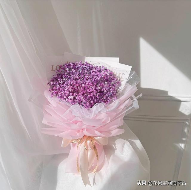 Gypsophila 满天星网名，Gypsophila 满天星（千万星、百万星、伊洛斯有何区别）