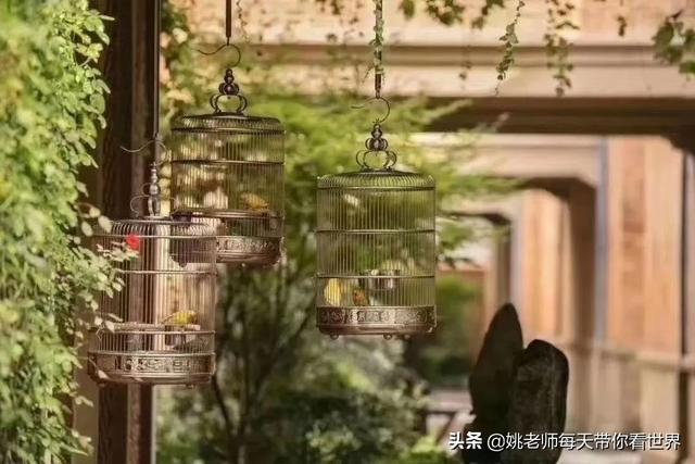 上海外滩半岛酒店，上海婚宴酒店排名（上海酒店的天花板）