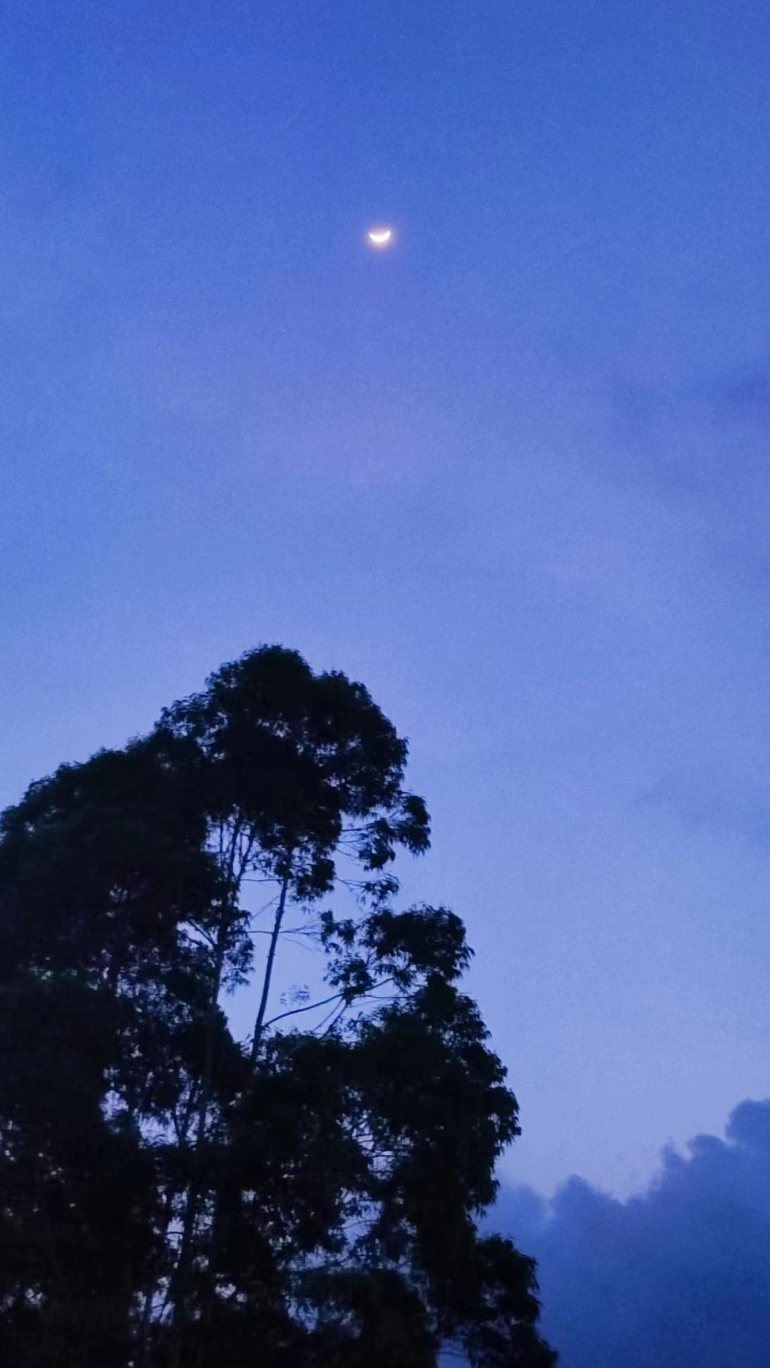 运营会计是做什么的（23届会计专业毕业生）