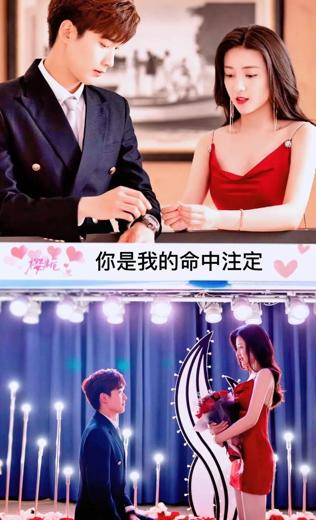 邢昭林和白鹿的电视剧是哪一部，白鹿邢少林的电视剧（30部由男女主角二次合作的电视剧）