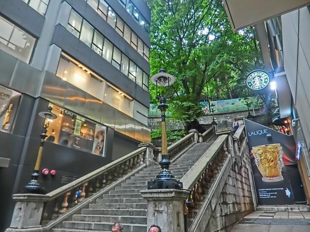 去香港旅游注意事项，香港旅游注意事项禁止喂养鸽子吐痰违反将被刑事检控（整理出这篇最全攻略）