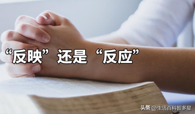 反映与反应的区别，反映和反应的区别（“反映”和“反应”的区别）