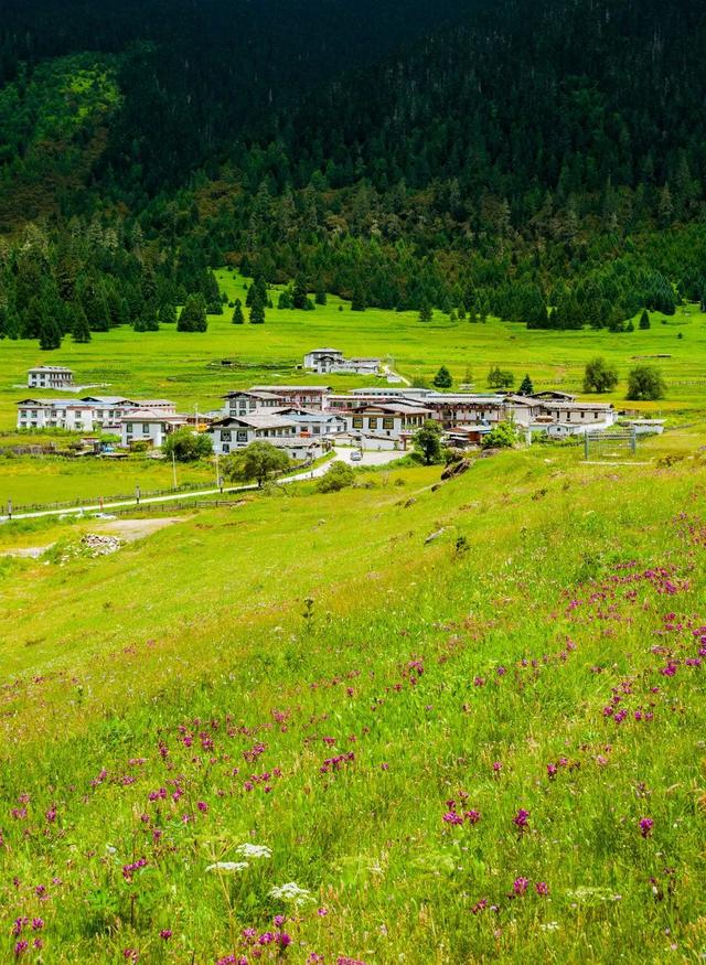 318旅行沿途风景地图，不期而遇的风景向你扑面而来……