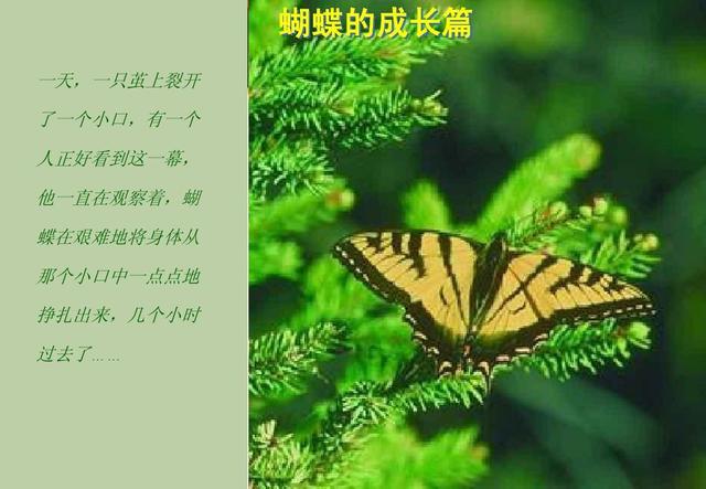 启示录是什么意思，电影启示录是讲什么（什么是人生启示录）