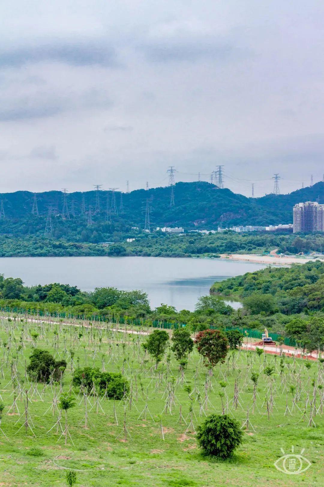 宝安中心地铁站(宝安客运中心附近地铁站)