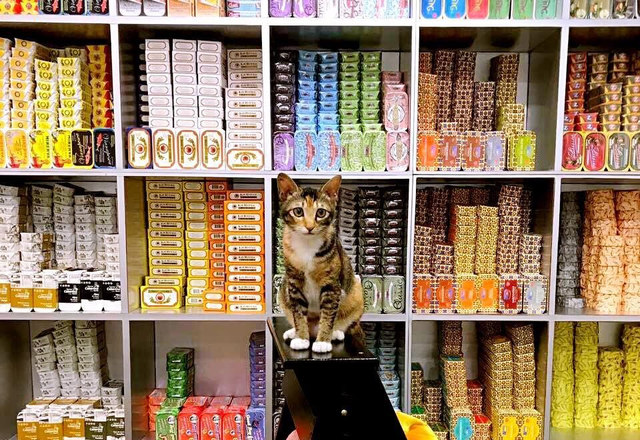 澳门杏仁饼做法，澳门杏仁饼做法视频（要去澳门100次）