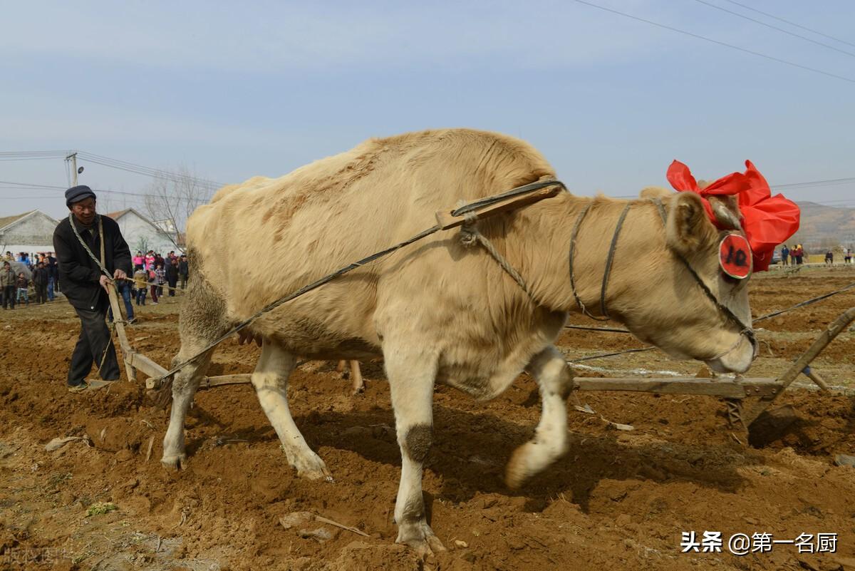 虎年犯太岁生肖是什么，虎年犯太岁的五个属相（4个生肖要“躲春”）