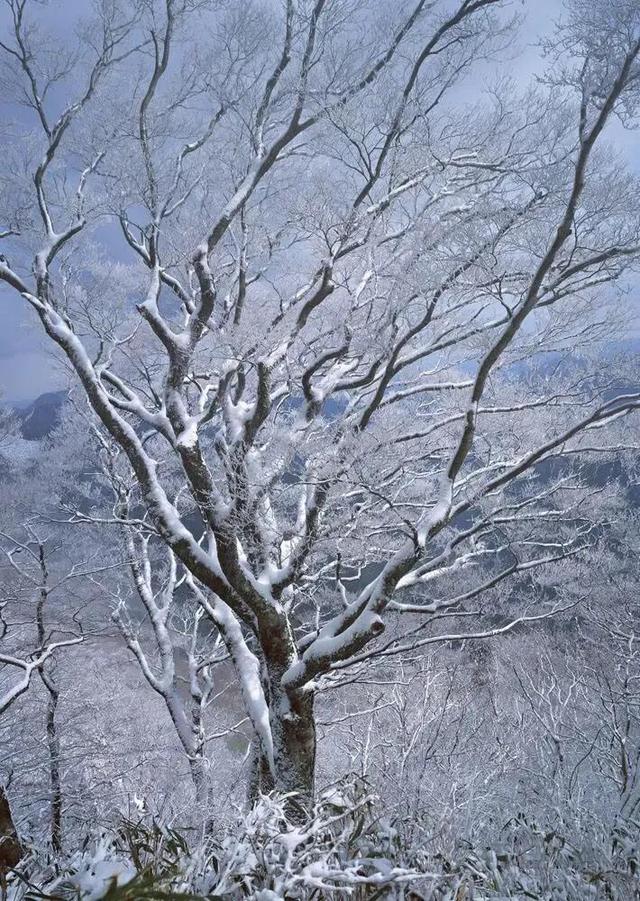 形容心情很糟糕的句子，形容心情很糟糕的句子发朋友圈（无论生活多么狗血）