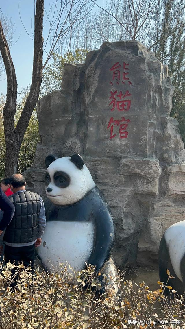 厦门旅游攻略动物园，保姆级游玩攻略给大家奉上