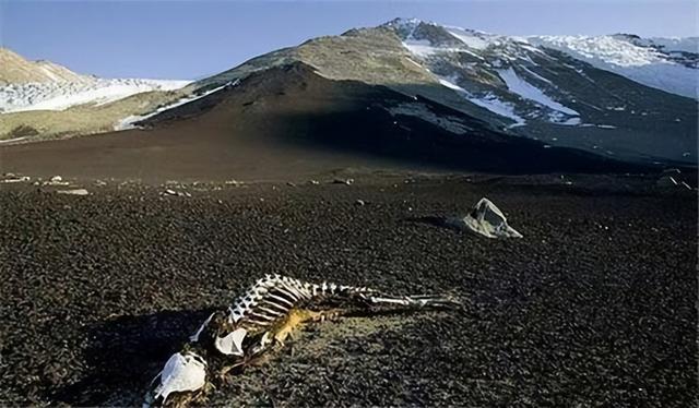 世上十大最诡异的地方，就算给我钱我也不敢去