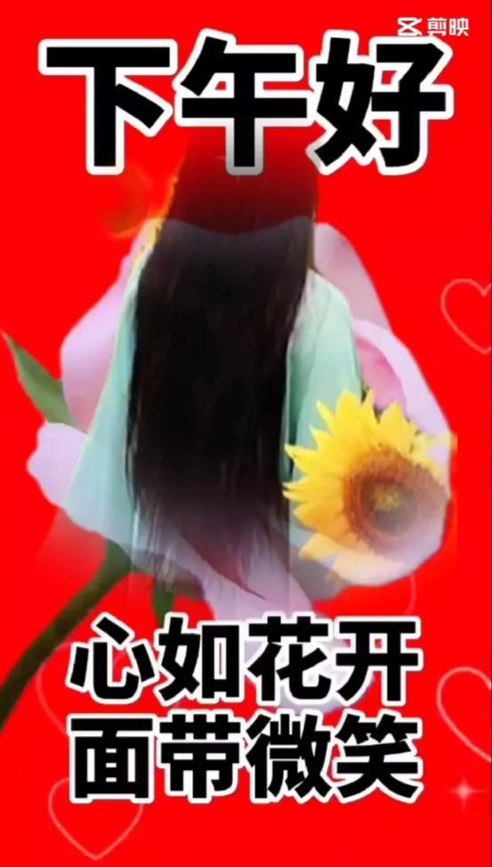 适合下午发的问候语，最新的下午问候语大全（美图分享：下午问候语）