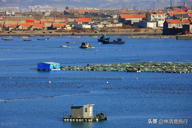 适合旅行的海边小镇，中国这座海滨小城