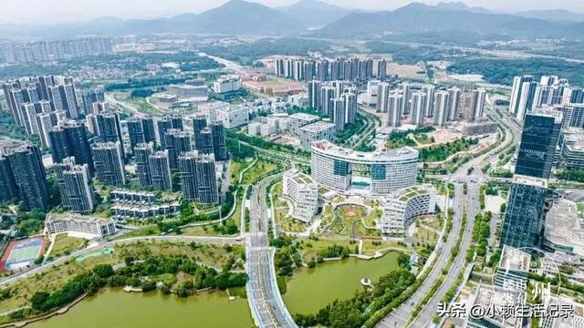 自离了是不是没工资了，自离不给工资合法吗（在广州黄埔年收入3000万）