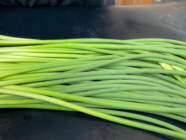 蒜苔可以冷冻保存吗，新鲜蒜苔怎么冷冻保存（把蒜苔放冰箱冷冻室里保存）