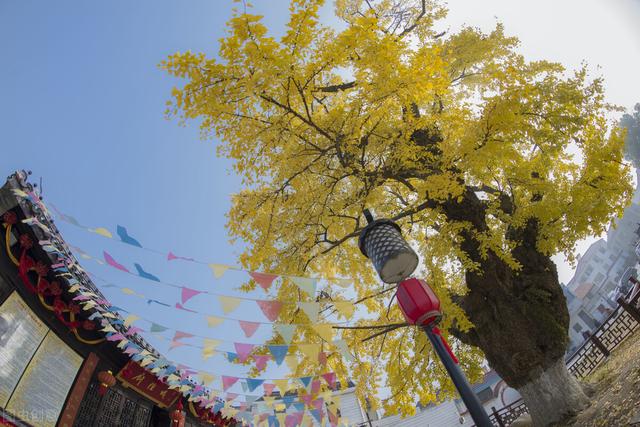 全地球有多少个国家，全地球有多少个国家和地区（国家历史文化名镇名单大全）