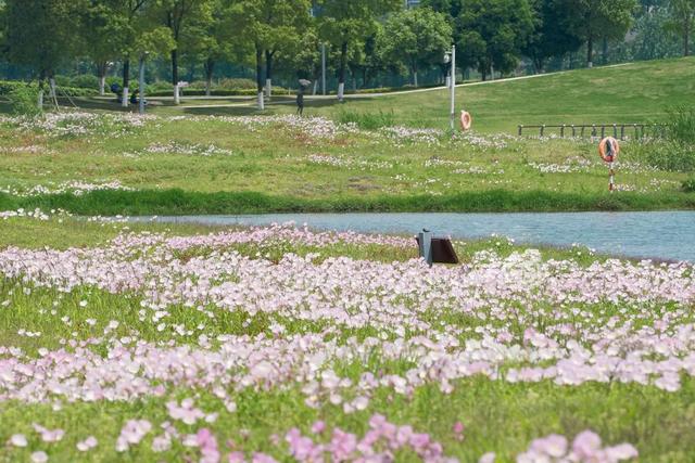 长沙生态动物园门票，长沙生态动物园门票多少暮云那个（赏花、露营、亲子、文博等）