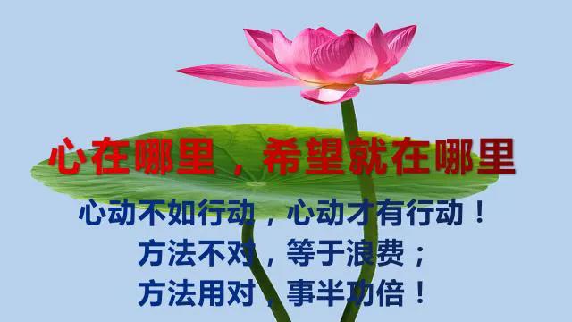 调整心态的正能量句子，心态不好怎么调整自己（正能量法则：唤醒心中的正能量）