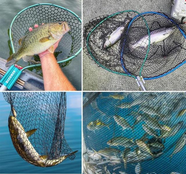 儿童创意画教程100课，儿童创意画教程100课儿童绘画（秋季幼儿艺术课程《网住一兜鱼》）