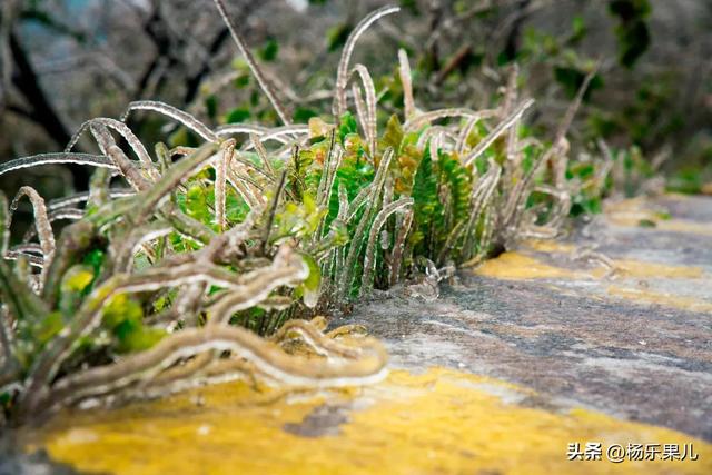 南宁旅游景点最值得去六个景点，南宁景点介绍 南宁旅游景点（超级推荐这5个打卡点）