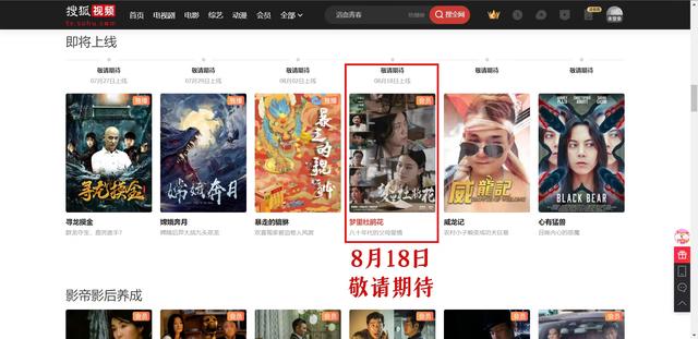 无怨无悔爱一场是什么歌，无怨无悔爱一场是什么歌曲（《梦里杜鹃花》为爱发声）