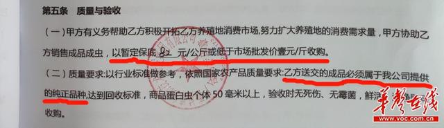 蛋白虫市场价格多少钱一斤，蛋白虫市场价格多少钱一斤蛋白虫孵化盖报纸吗（蛋白虫养殖是真商机还是“割韭菜”）