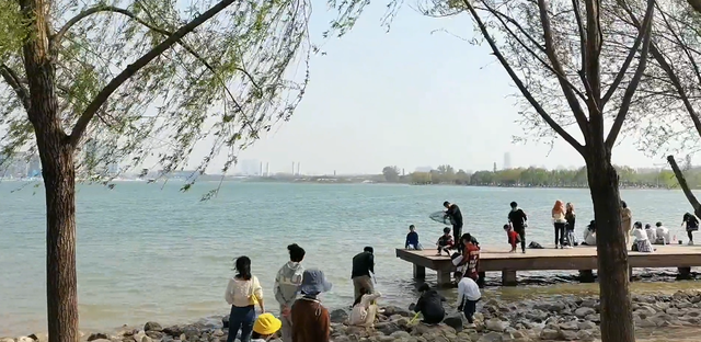 郑州周边免费景点，郑州最近免费旅游景点大全（不出郑州的8个赏花遛娃地）