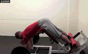 怎么练下背肌群，4招下背核心训练