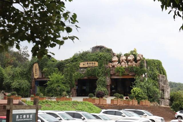 下雨了动物们都有什么样的表现，动物在下雨前有哪些表现（动物园里动物们都在干嘛）