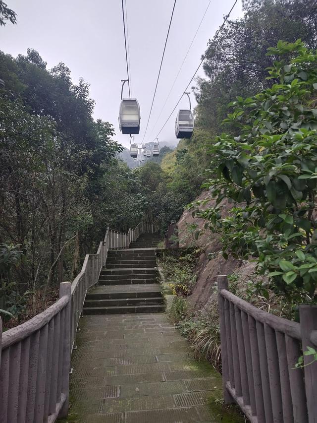 歌乐山森林公园，重庆旅游必去景点（歌乐山国家森林公园）