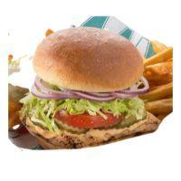 狗狗能吃糯米吗，狗狗最忌讳吃什么食物（这些东西可要小心了）