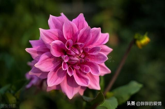 不为失败找借口，只为成功找方法（一种不懈追求；莫找借口失败）