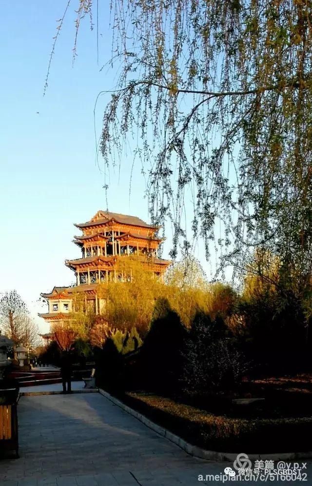 南山公园在哪里，深圳大南山公园开放时间（这是你们熟悉的那个南山公园吗）