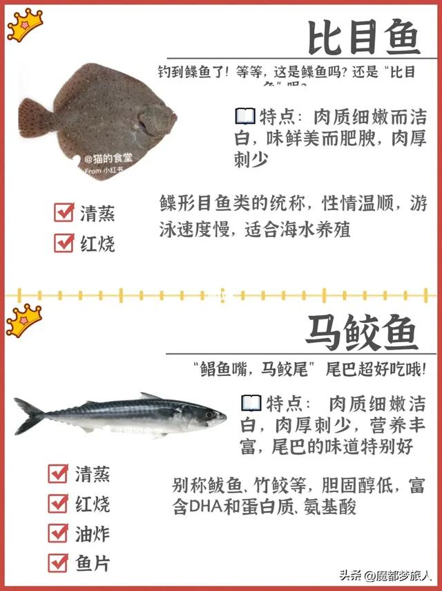 常见的海鱼120种，科普下常见海鱼品种。