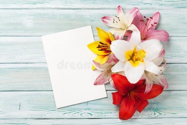 关于眼眸的唯美句子，形容眼睛有灵气的唯美句子（目光所及皆是温柔的励志短句）