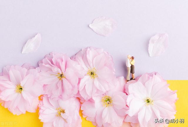 骂女人的话，骂女人的话长篇（相亲男微信骂“捞女”）