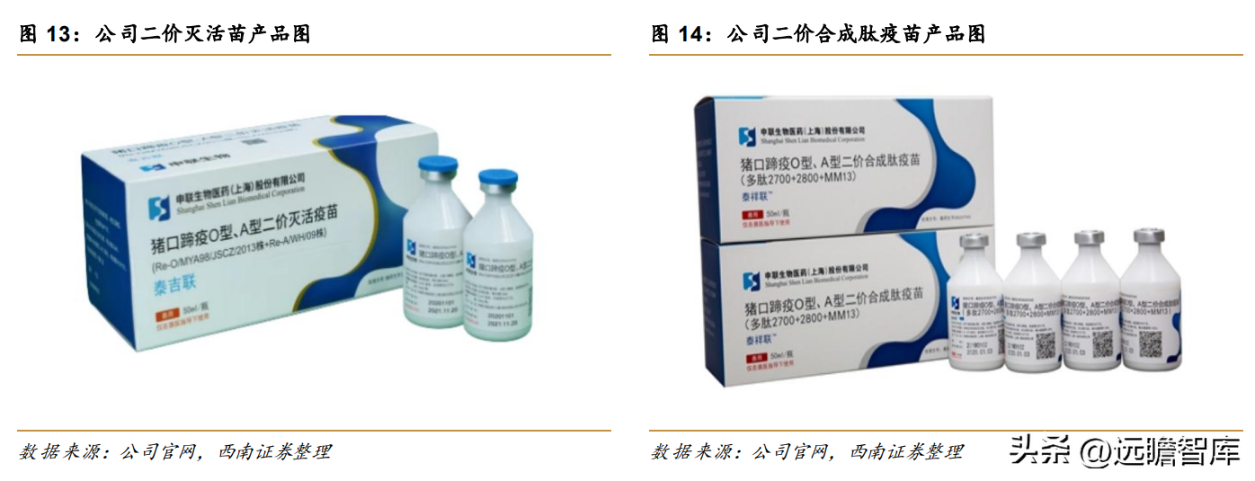 上海多肽合成（高科技动保企业）