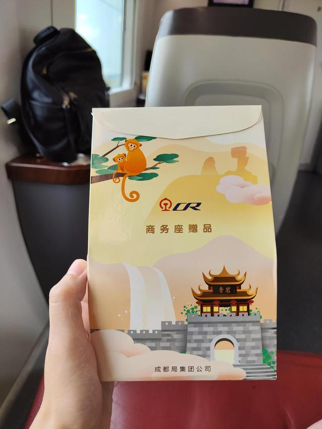 第一次坐高铁步骤有哪些，第一次坐高铁需要什么（高铁商务座初体验）