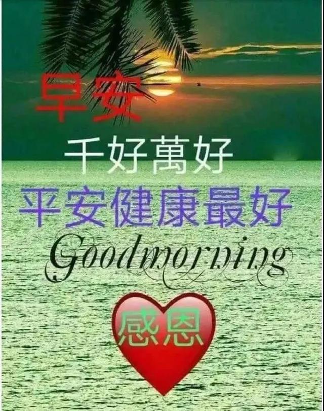 最新温馨早安心语，2019最温馨的早安心语（朋友圈早晨好问候语句）