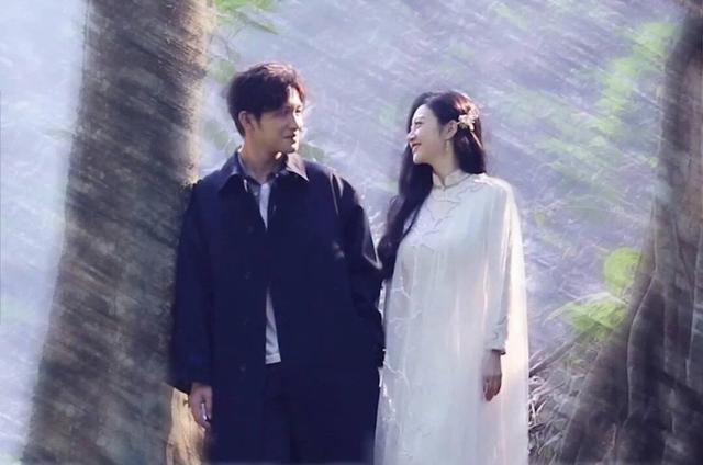 北美大灰狼是什么梗，北美灰狼为什么这么大（嘟嘴索吻、牵手搂抱、时刻黏在一起）