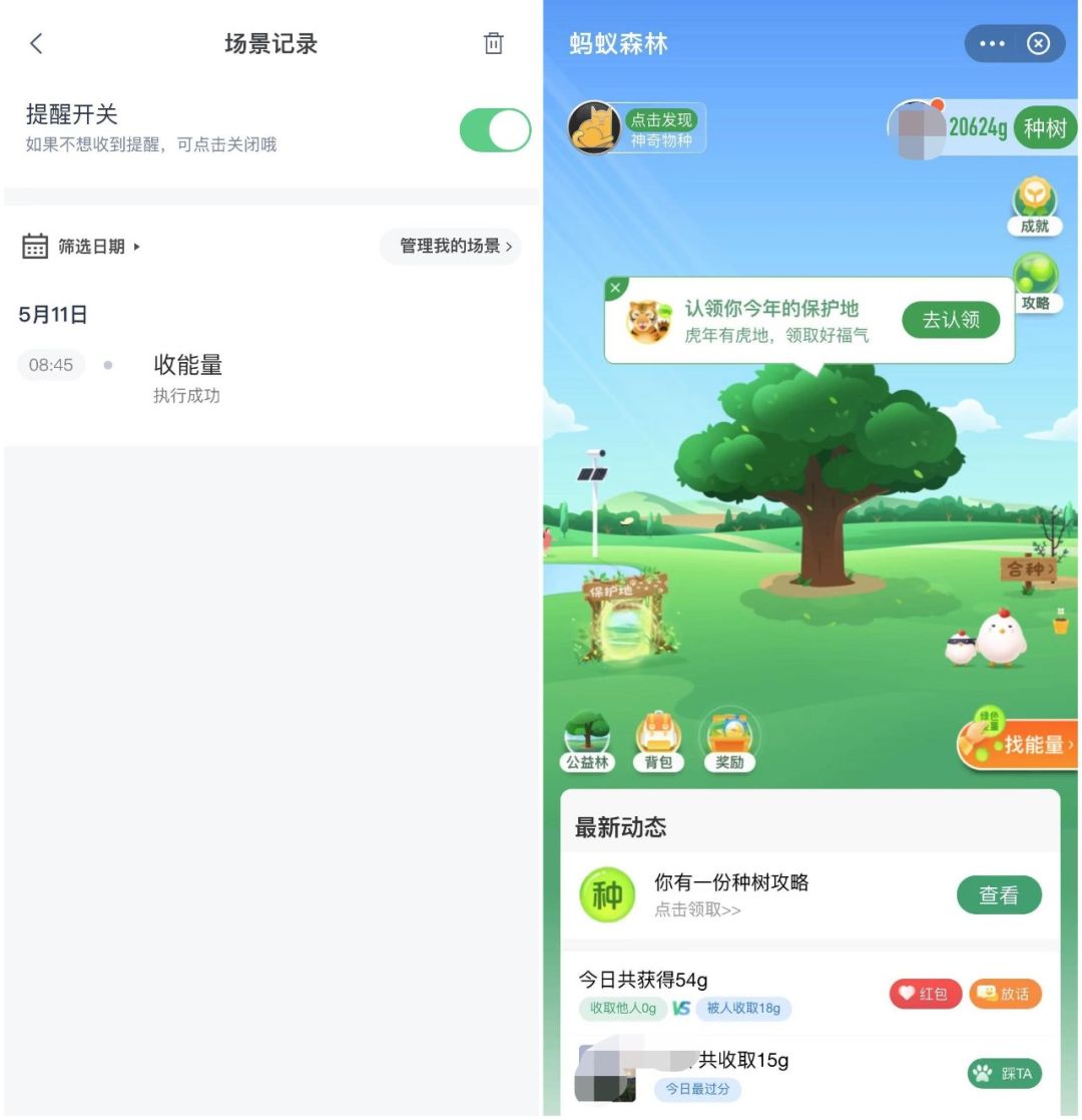 支付宝蚂蚁森林(蚂蚁森林互加好友群500人)