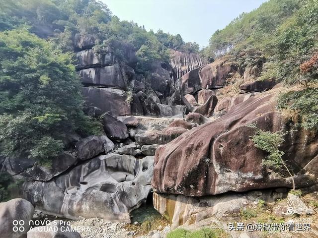 百里画廊是福建的哪一个城市，百里画廊之美誉位于哪里（“百里画廊”“闽东”宁德——是美味国鱼“大黄鱼”之乡）