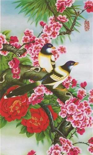 喜鹊图片大全大图，喜鹊的种类及分布图（喜鹊吉祥图片，精美手机壁纸）