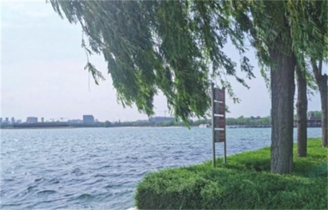 初夏六月 来郑州公园邂逅美好