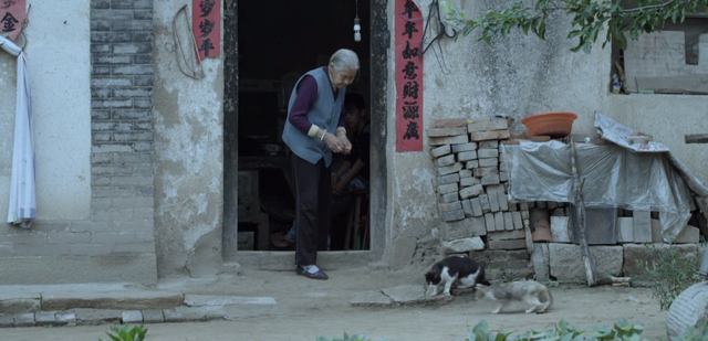 慰安妇是什么意思，731部队人工授精是什么意思（这部纪录片看哭无数网友）