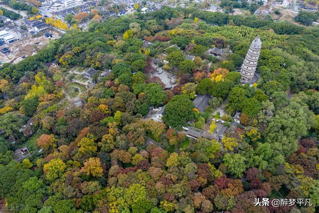 苏州虎丘景点介绍及游玩路线，苏州旅游景点虎丘地点（<江苏苏州5A景区>）