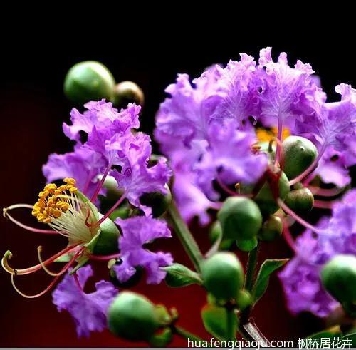 同学情谊的句子，珍惜同学情谊的句子（道一声秋安）