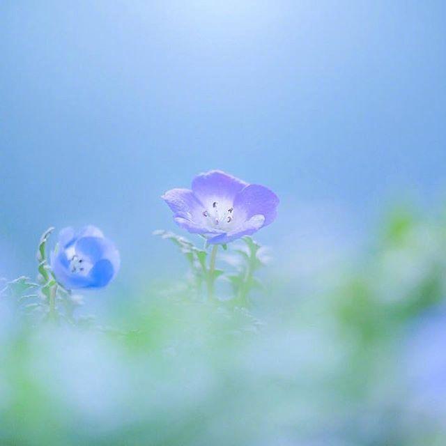 关于朋友的名言，关于朋友的名言经典（十一月发朋友圈最棒的人生格言）