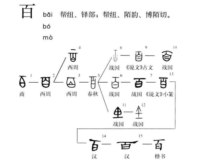 白氏起源图片